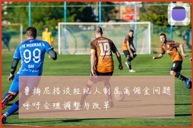 鲁梅尼格谈经纪人制度高佣金问题呼吁合理调整与改革